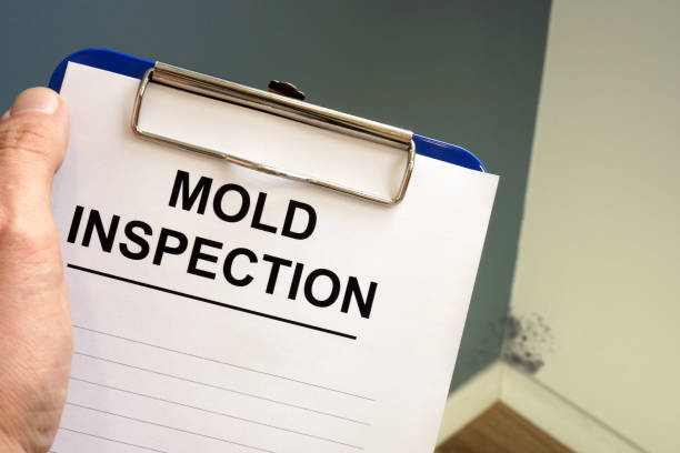 Asbestos and Lead Testing During Mold Inspection in Pawnee, IL